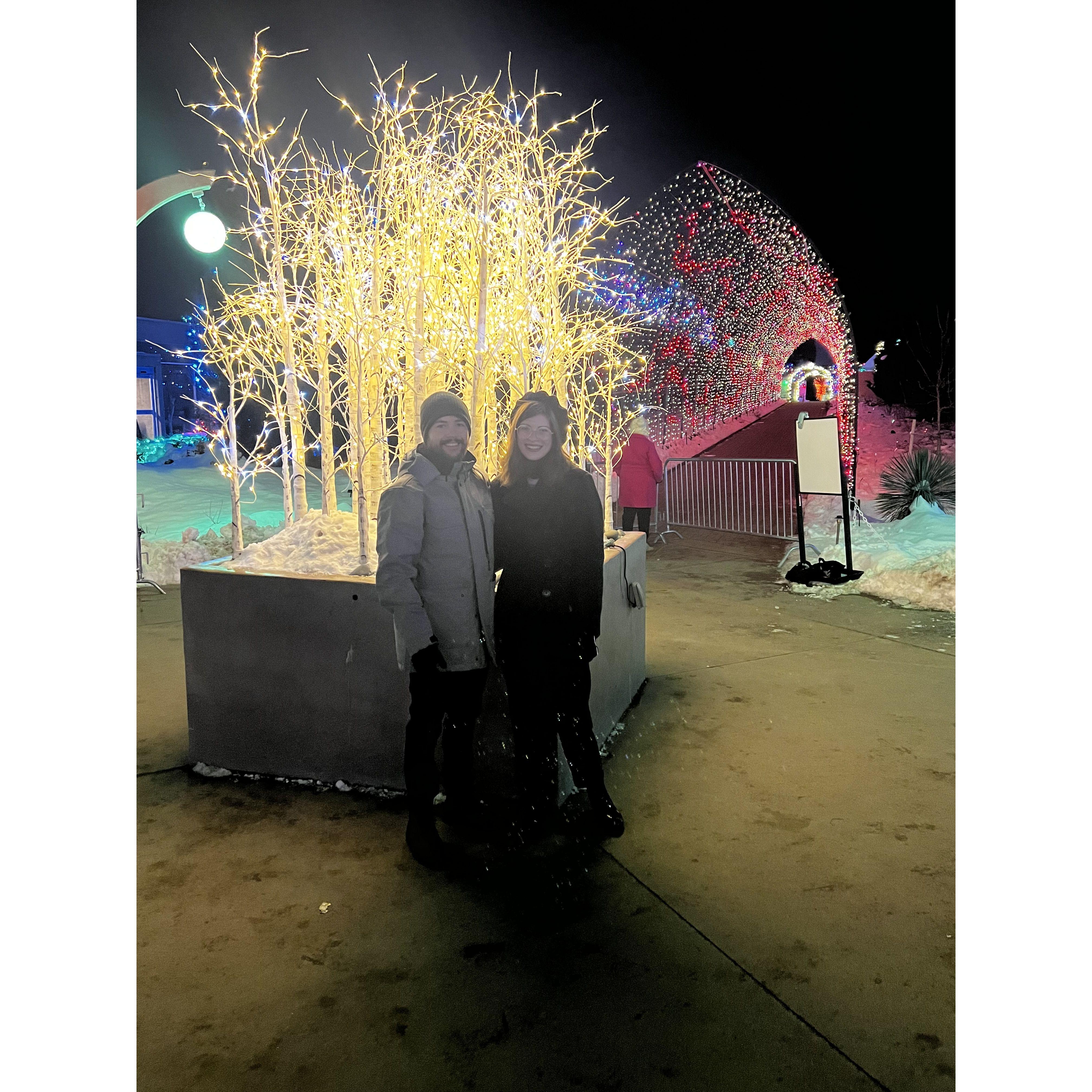 still cute, still Christmas lights.