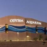 OdySea Aquarium