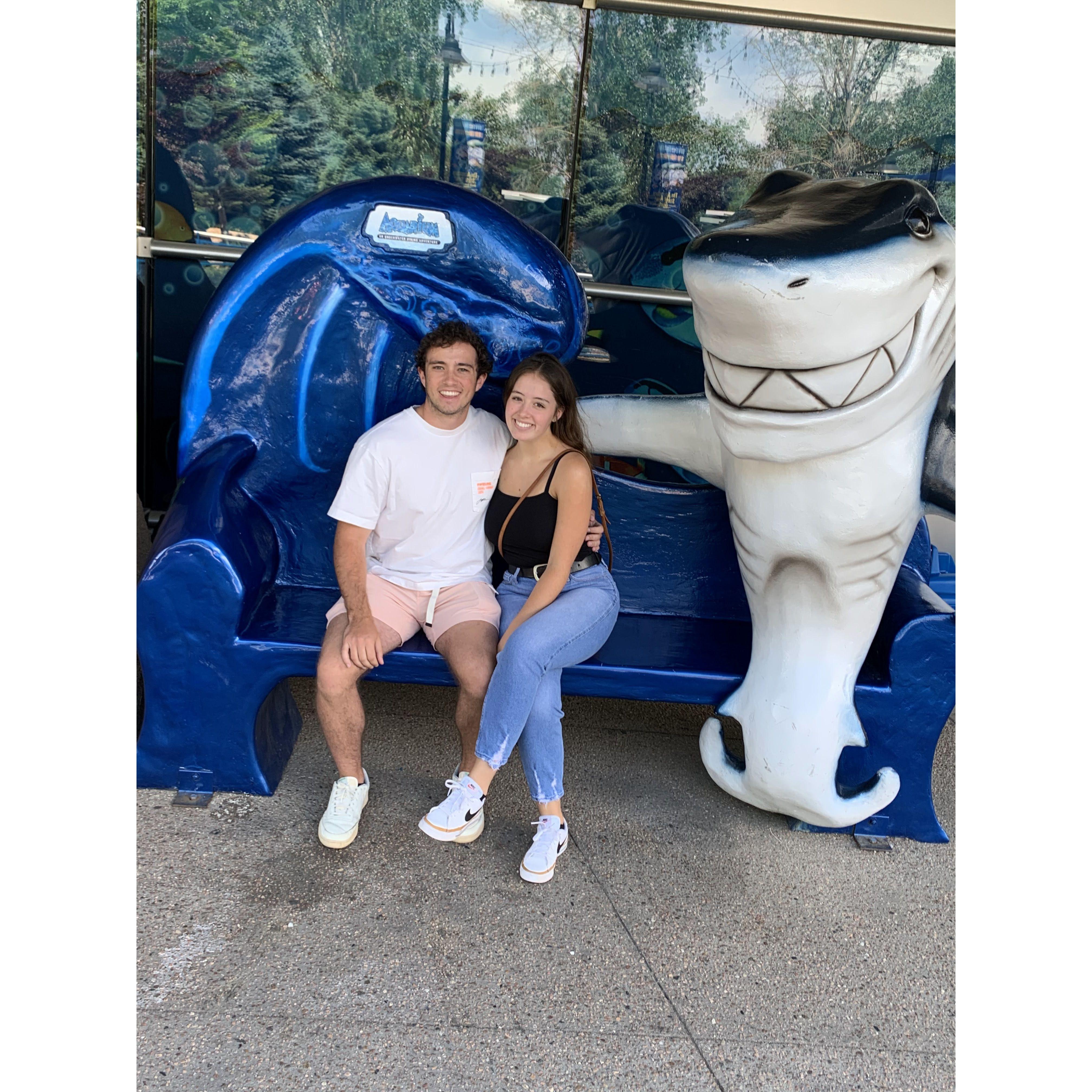 Denver Aquarium Date 2021