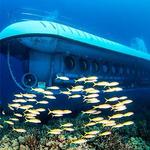 Submarine Tour