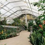 Butterfly Biosphere