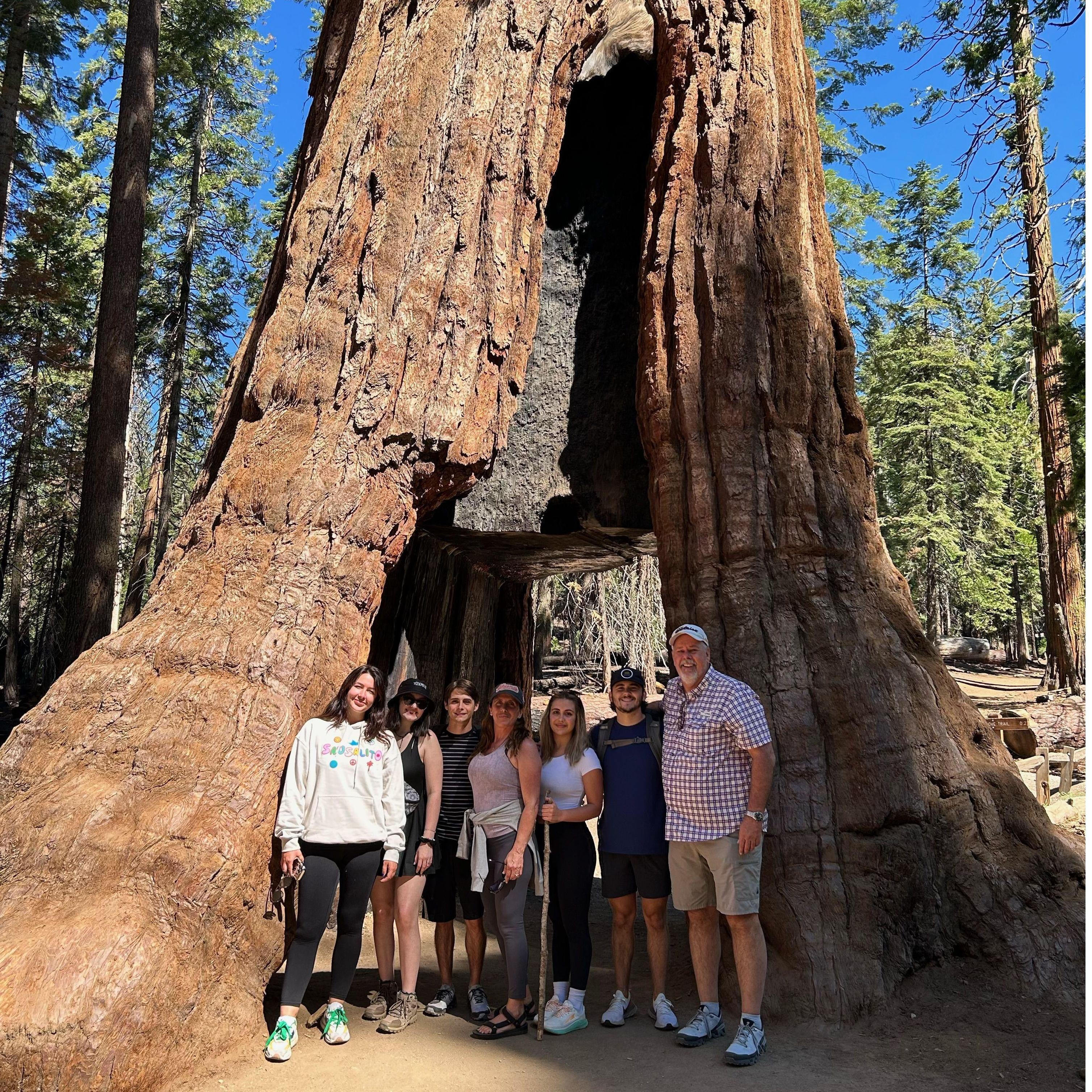 First family vacation
