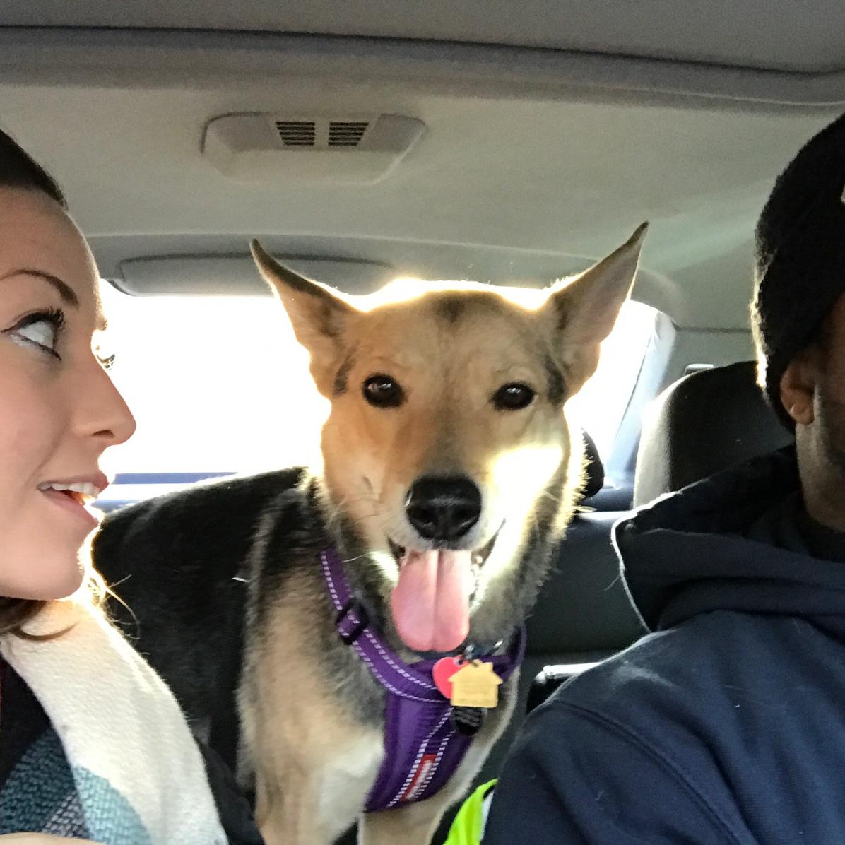 With our amazing pup, Nikki