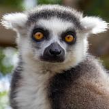 London Zoo