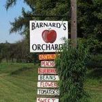 Barnard's Orchard