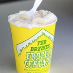 Ted Drewes Frozen Custard