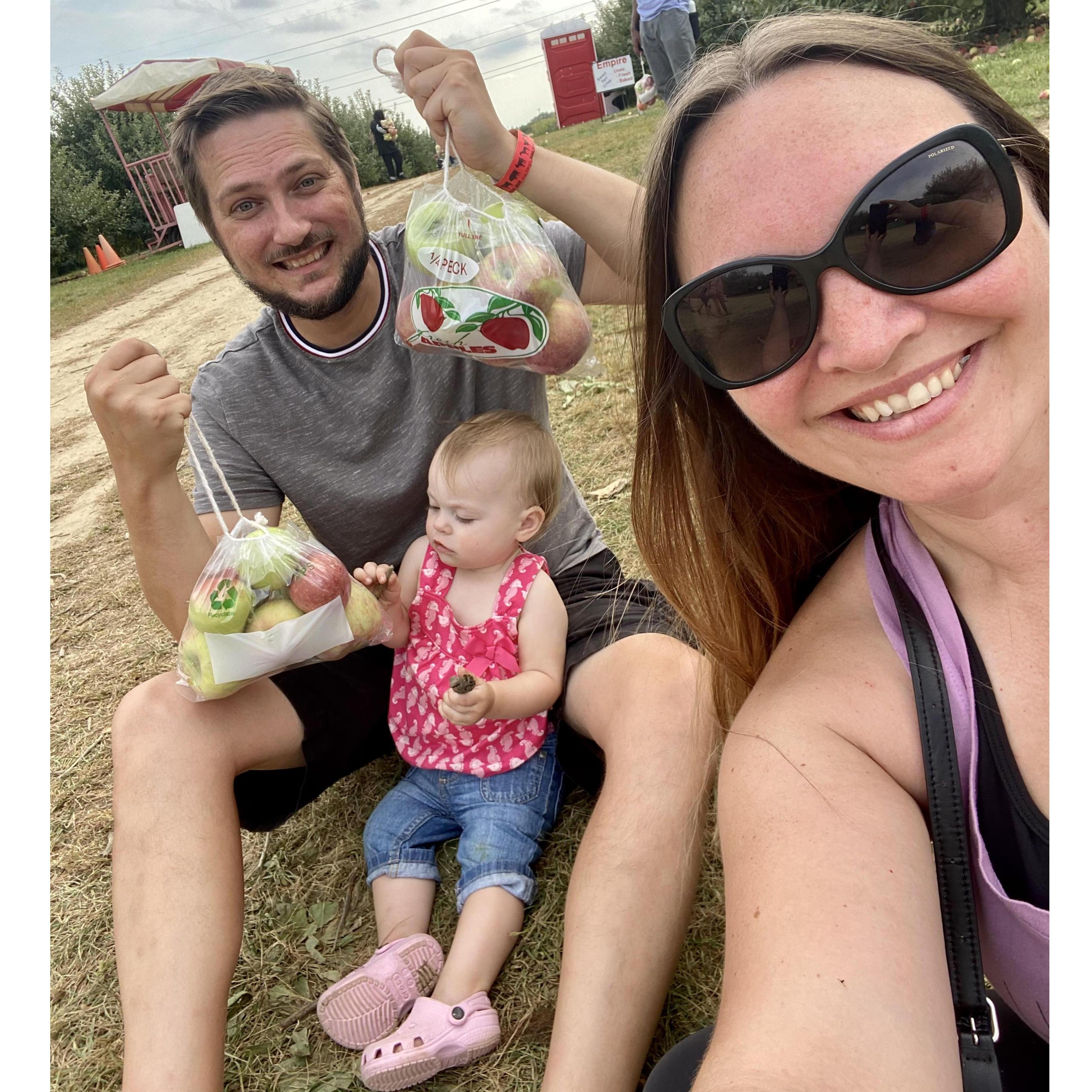 Apple picking October 2020