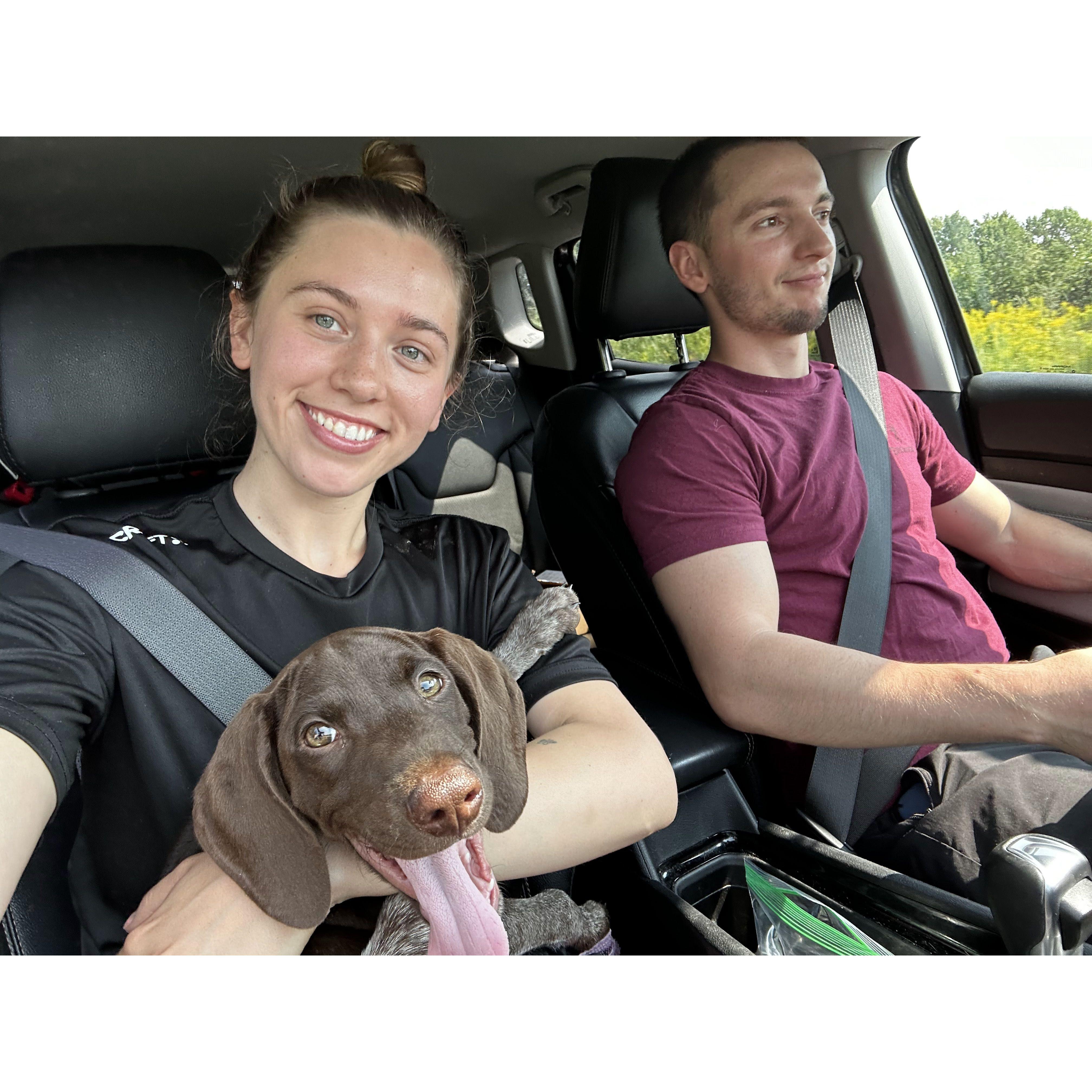 We got a puppy!