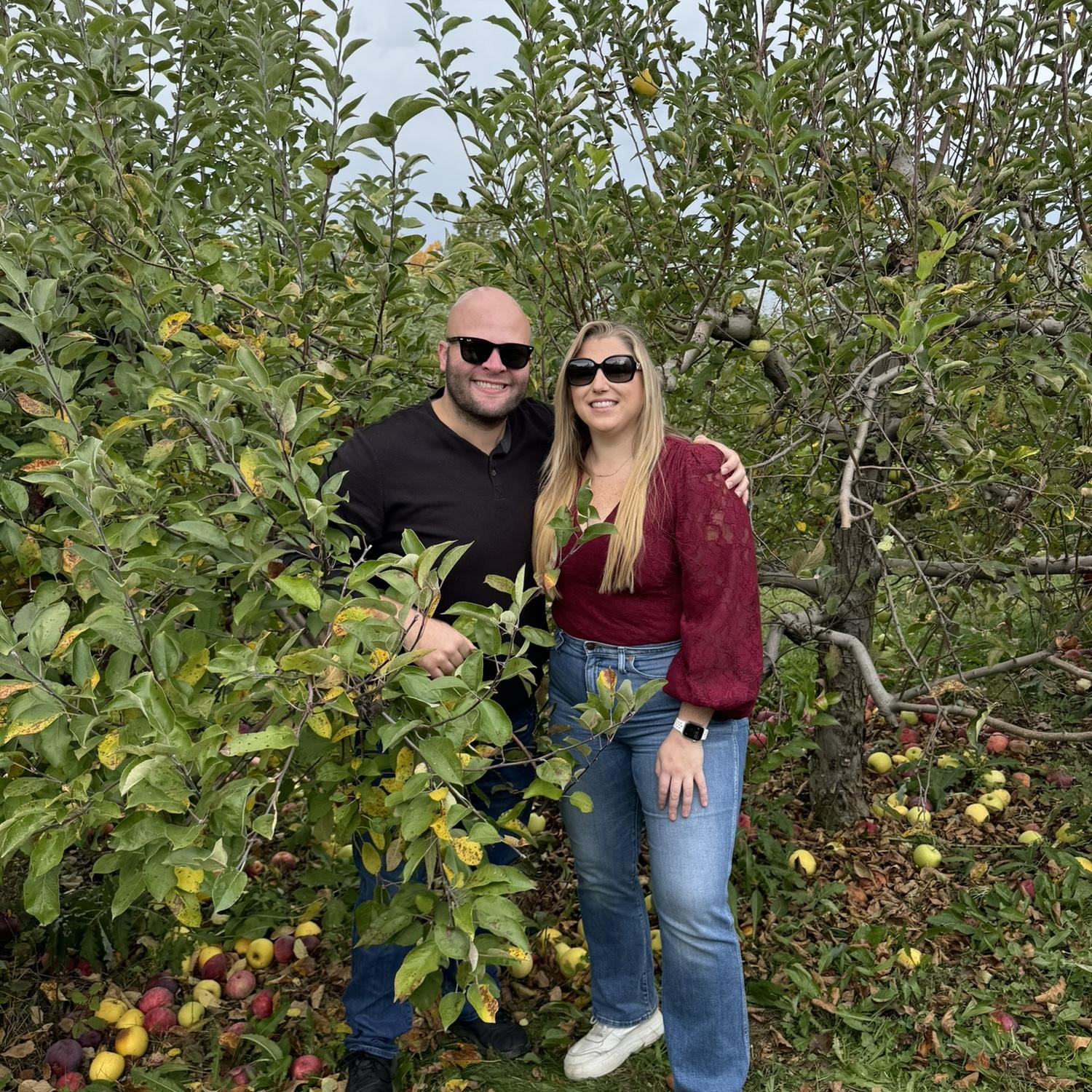 Apple picking in Warwick