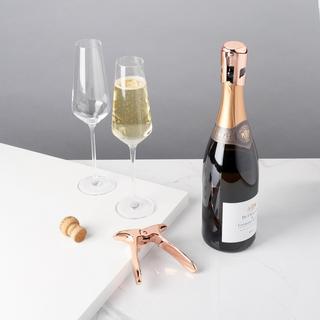 Raye 3-Piece Champagne Accessories Set