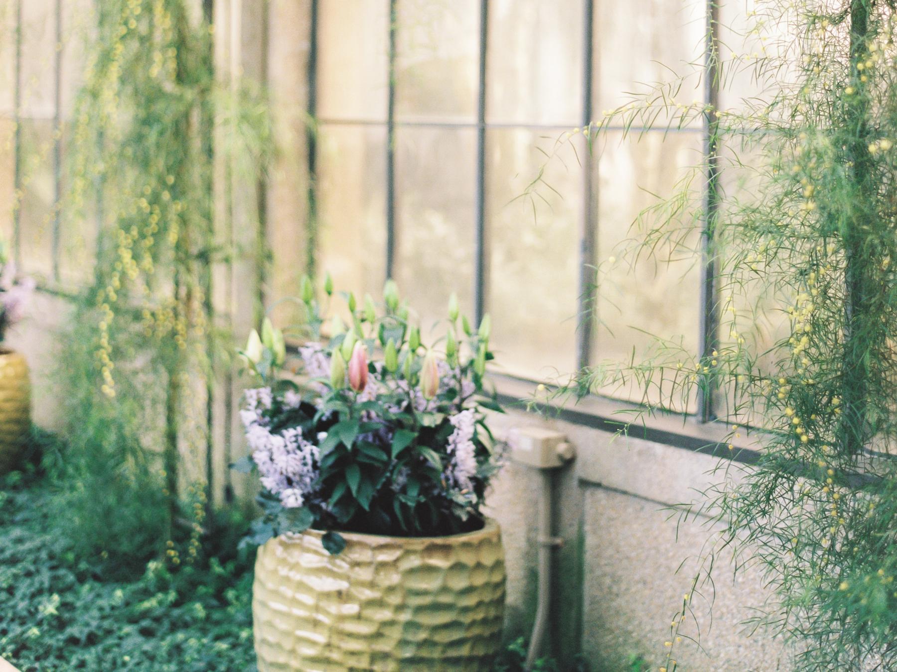 The Wedding Website of Anna Gourlay and Zachary Buckland