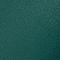 Rainforest Green
