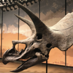 Tellus Science Museum