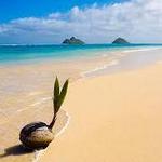 Lanikai Beach
