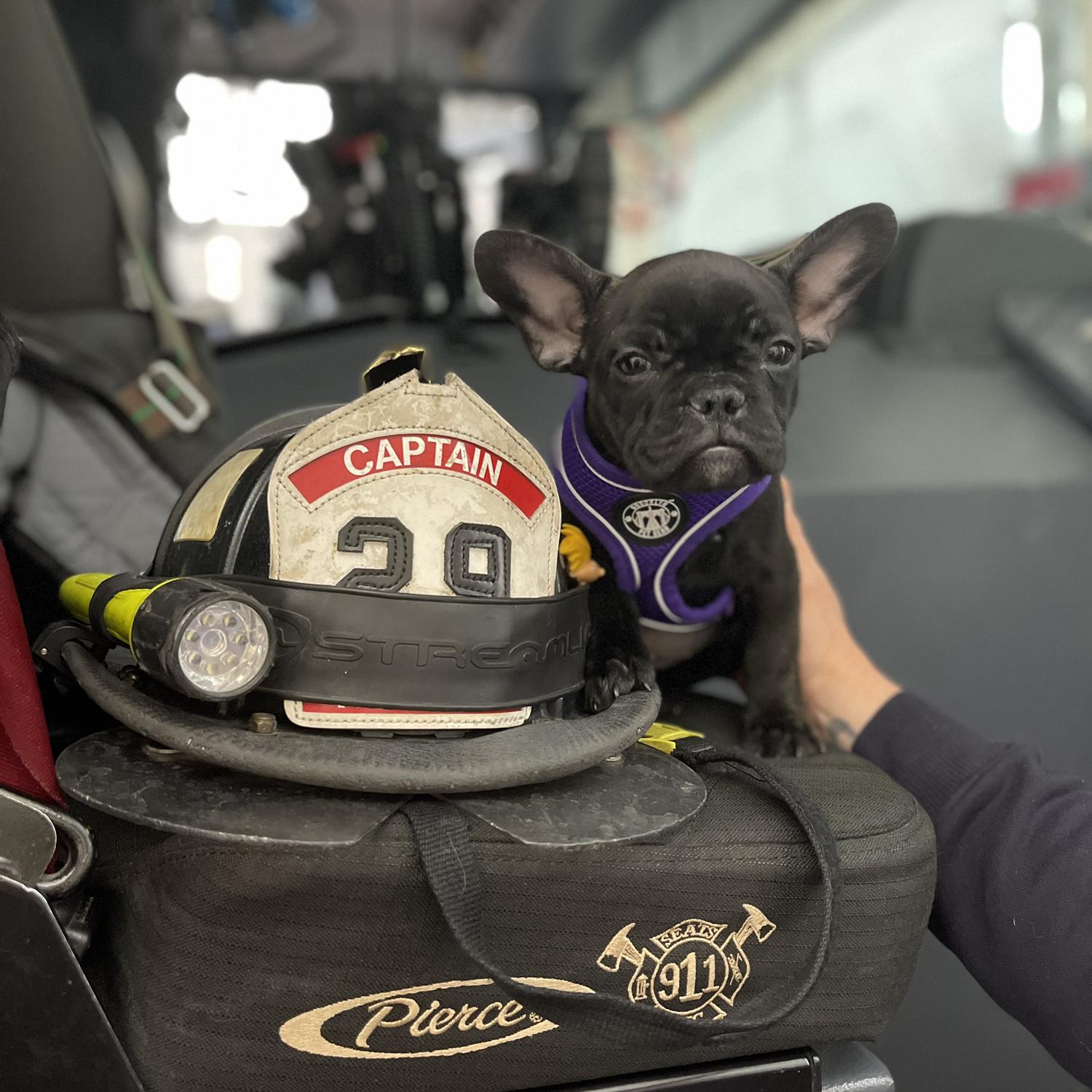 Sasha’s first 24 hours home & visit to the father in laws firehouse!