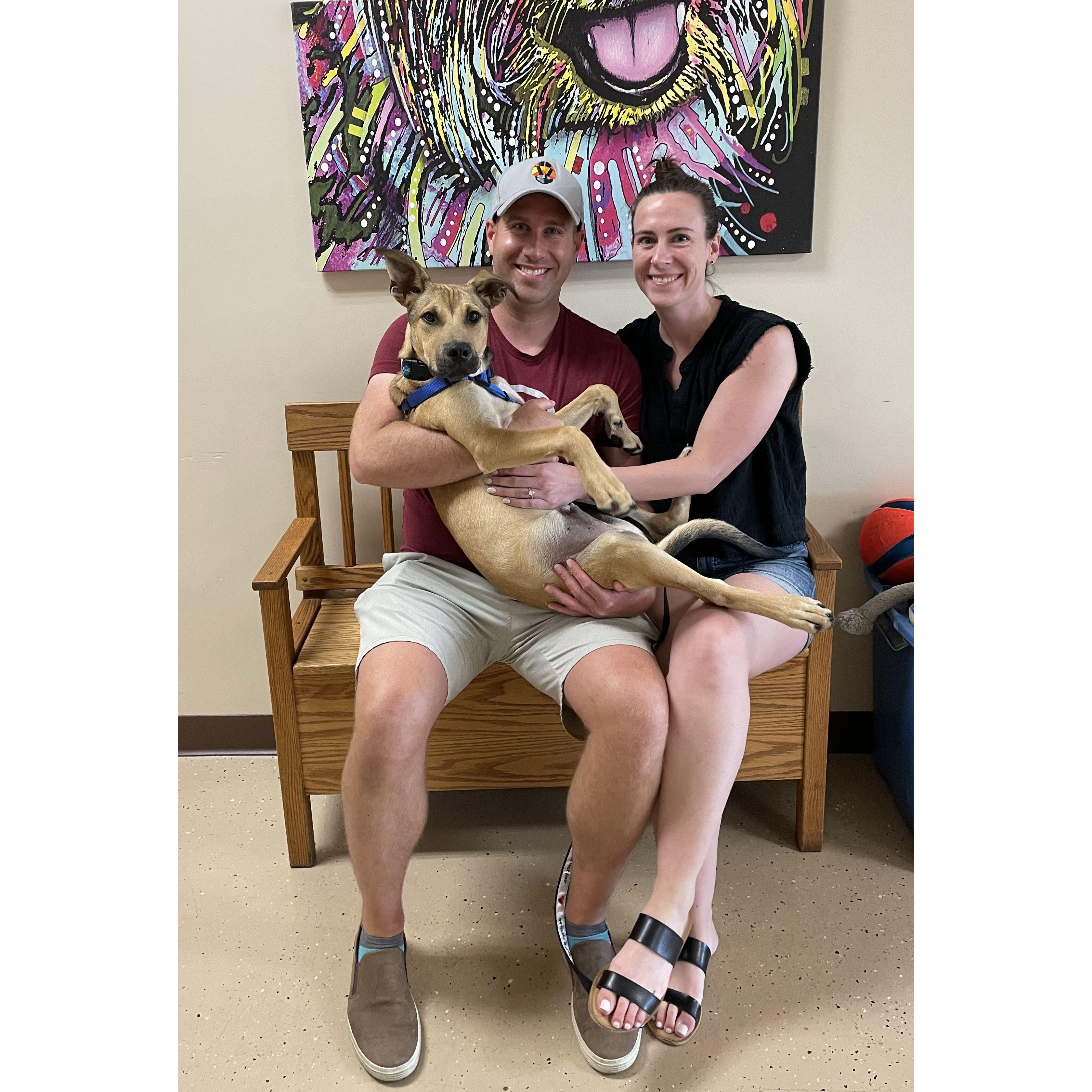We adopted Winston June 26, 2022