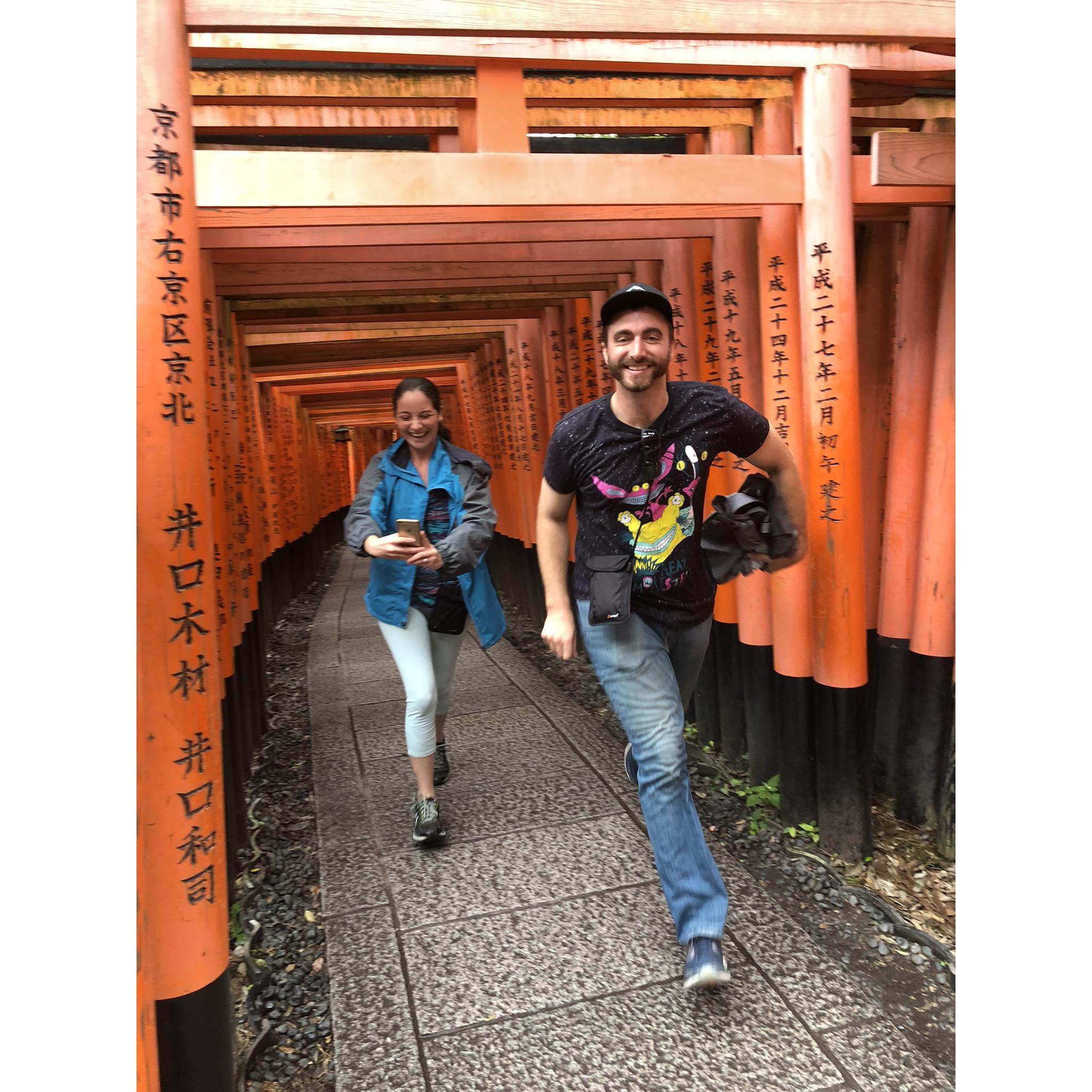 Bridges everywhere
