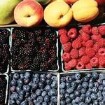 Traverse the "Fruit Loop"