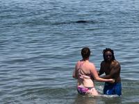 Marconi Beach