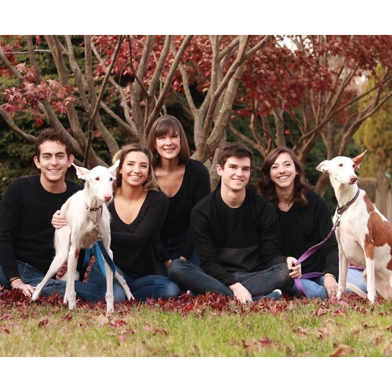 Family photos with Morgan's family by Junho Moon. November 2018.