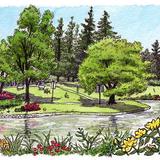 UC Davis Arboretum
