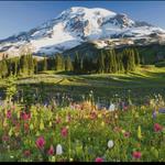 Mount Rainier National Park