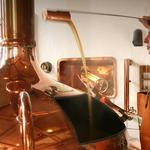 HÖVELS Brewery Tour