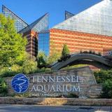 Tennessee Aquarium