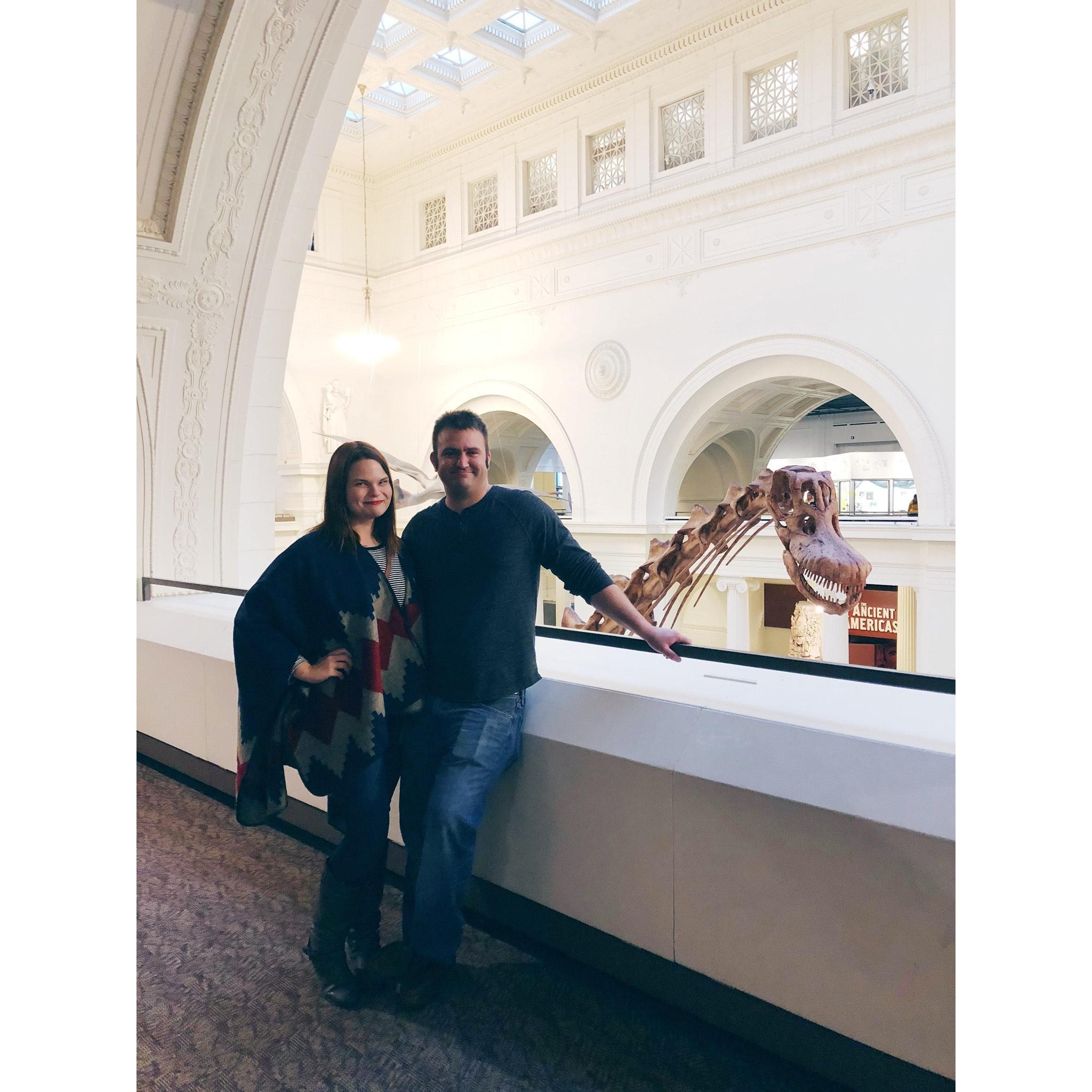 Meeting dinosaurs at the Field Museum in Chicago.