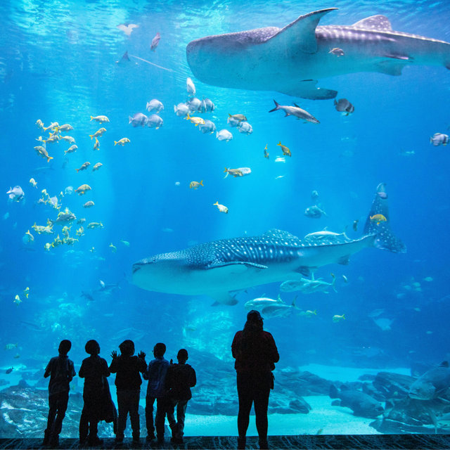2 Georgia Aquarium Tickets