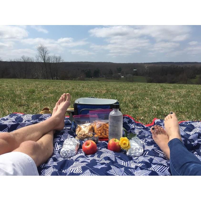 Our first anniversary - a picnic at Chase Fields