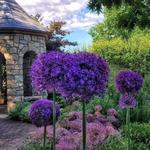 Idaho Botanical Garden