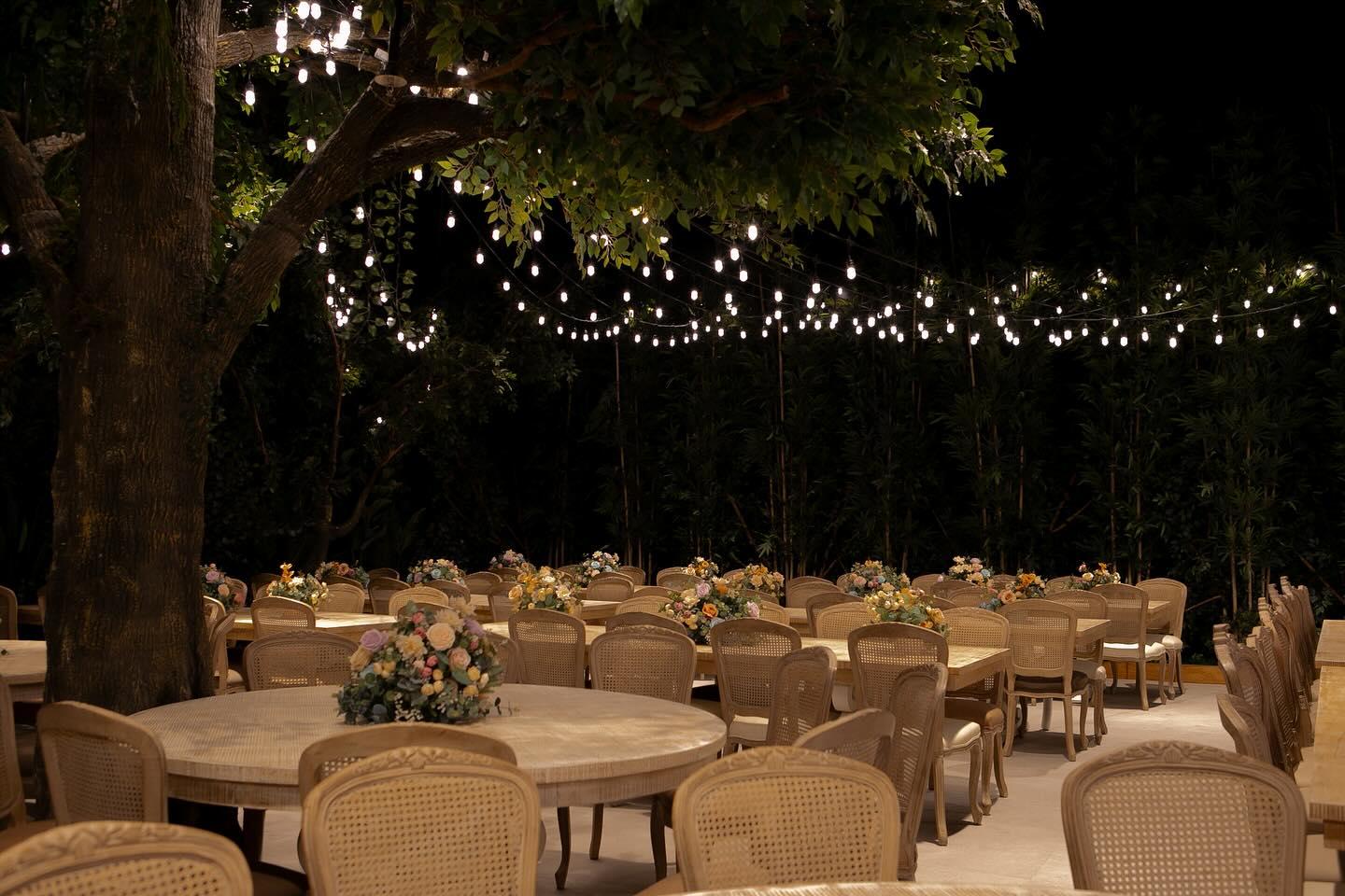 The Wedding Website of Yasmine Sanchez-Mayorga and Talah Khan