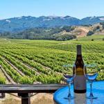 Wineries... and more wineries!