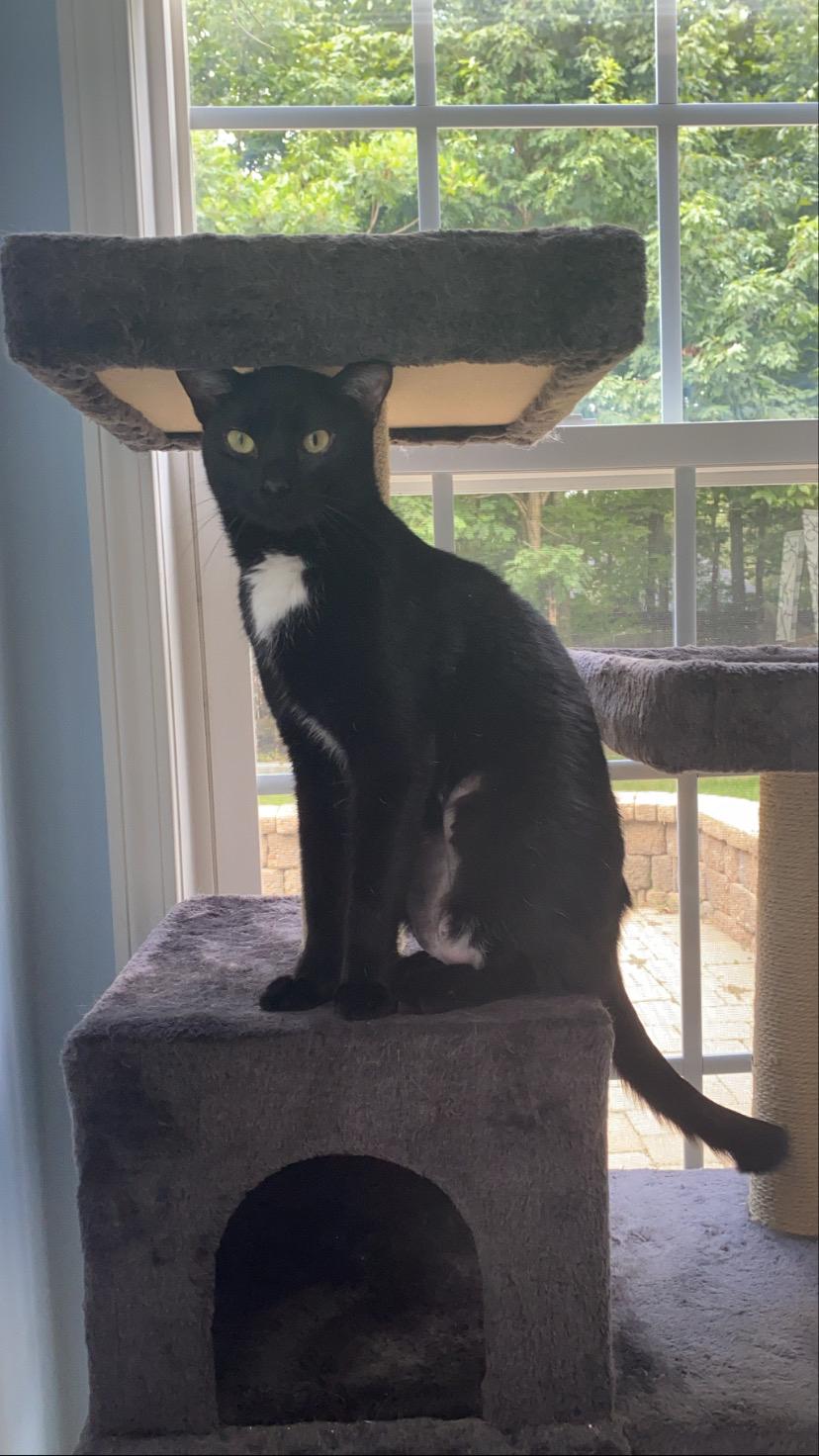 Our newest addition, George
