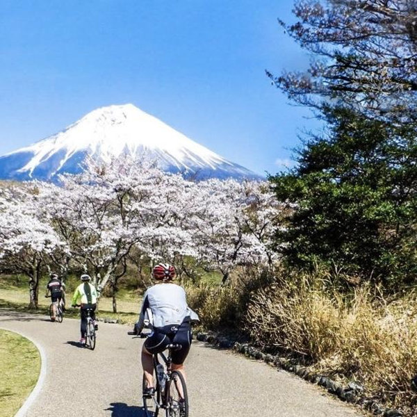 Bike tour through Kyoto
