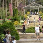 Sarah P. Duke Gardens (Duke University)