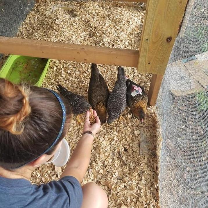 Feeding the newest additions to the family, Lucy, Ethel, Laverne, and Shirley