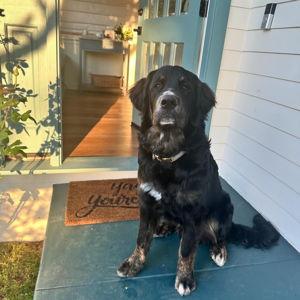 Monty's Toy Fund