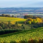 Willamette Valley
