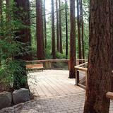 Hoyt Arboretum