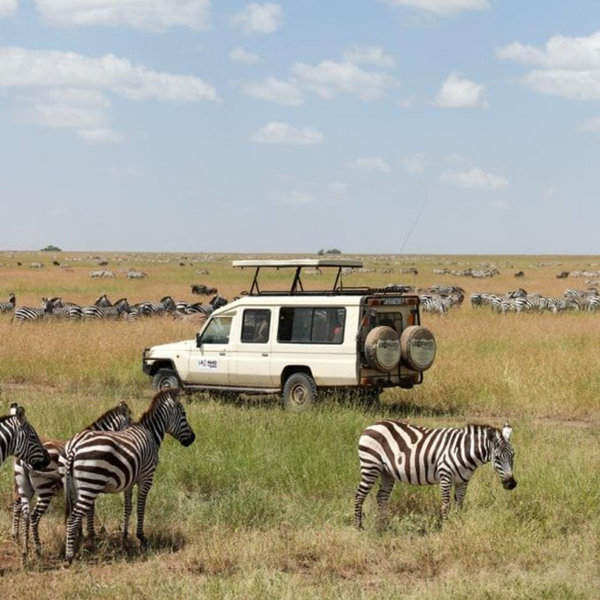 African Safari Honeymoon