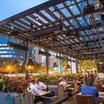 South City Kitchen Midtown