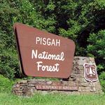 Pisgah National Forest