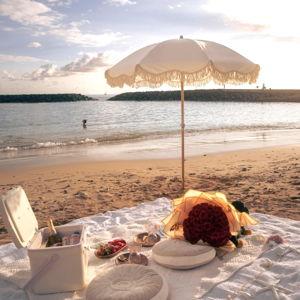 Beach Picnic Setup