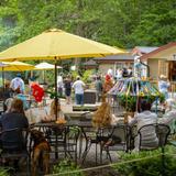 Grey Hawk Bar & Gardens (~15 mins)