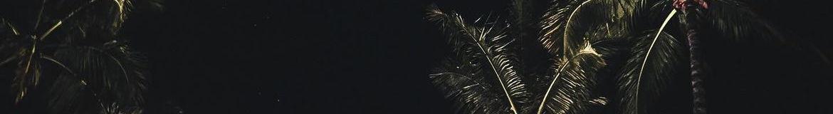 The Wedding Website of Amparo Velez Echavarria and Alejandro Servalli Malvisi