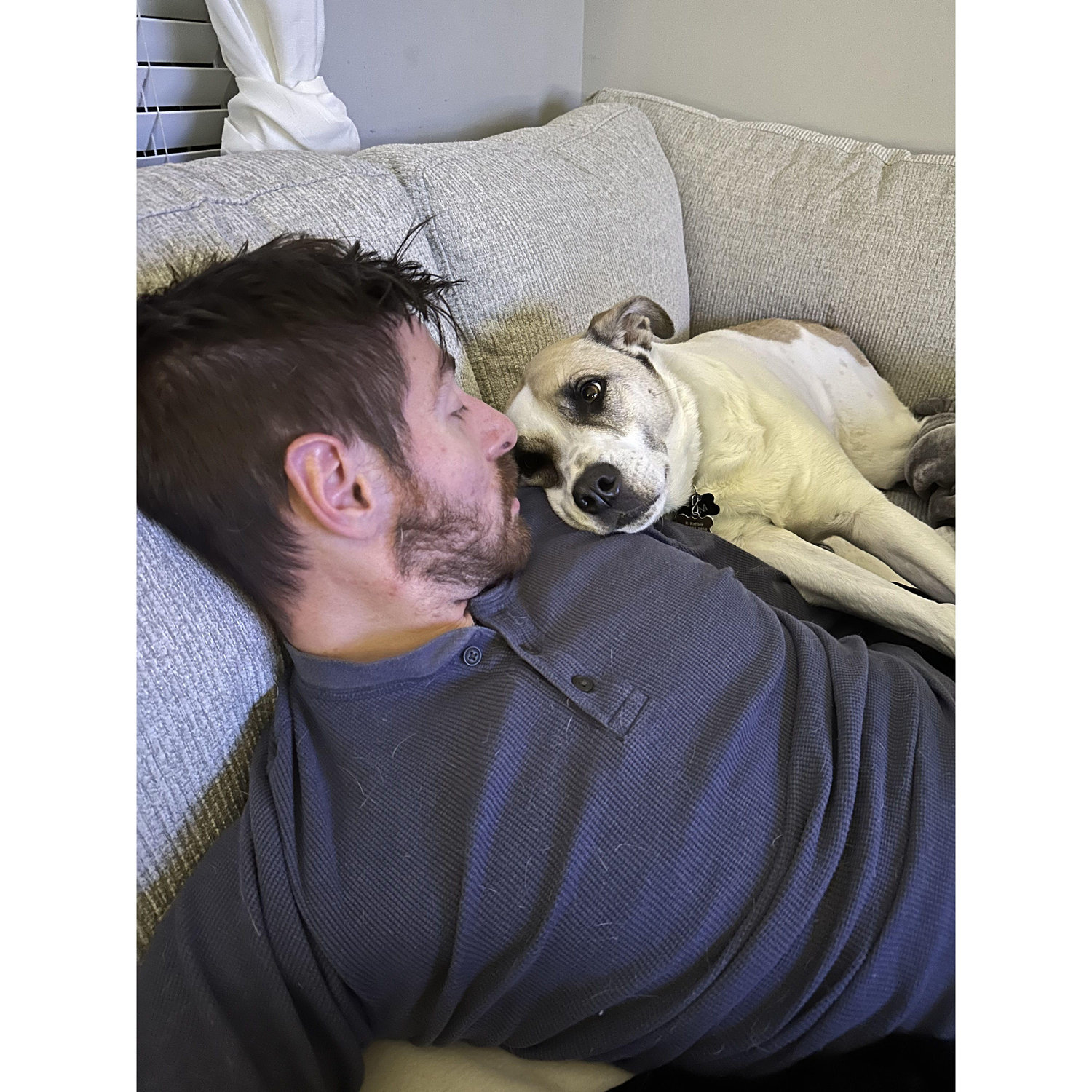 David and Simmy fall in love!