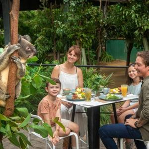 Currumbin Koala Breakfast