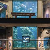 South Carolina Aquarium